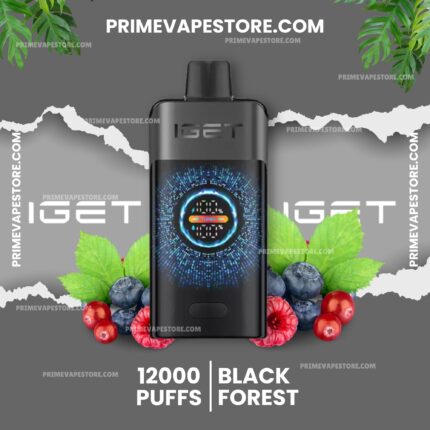 Black Vape Device Centered on a Gray Background Blue Circular Display with Berries and Green Leaves Around Advertises 12000 Puffs Black Forest Flavor - Australia E-cigarette Store