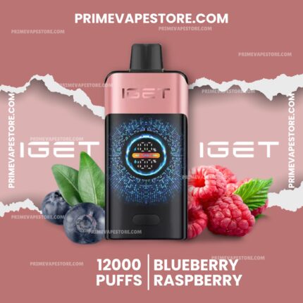 Pink vape device with black mouthpiece centered on a pink backdrop, surrounded by blueberries and raspberries; text shows 12000 Puffs and flavor names like Blueberry Raspberry