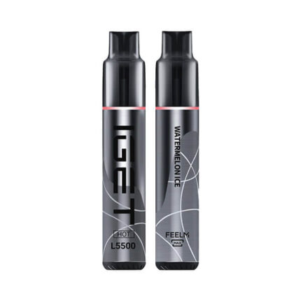 Two IGET disposable vape pens in silver-gray with a pink band, standing upright side by side.